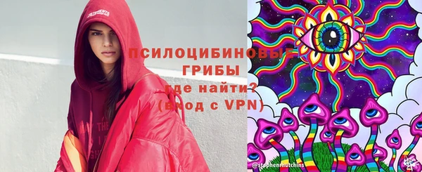 Альфа ПВП Алзамай